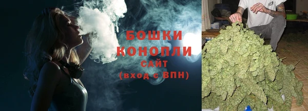 амф Горняк