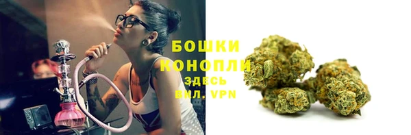 ALPHA PVP Горнозаводск