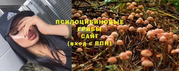 кокс Горно-Алтайск