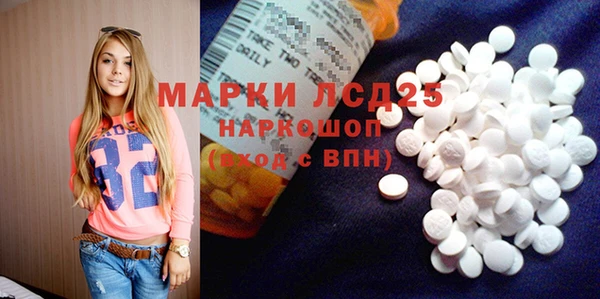 спиды Гусев