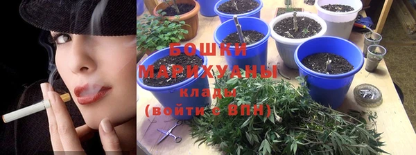 ALPHA PVP Горнозаводск